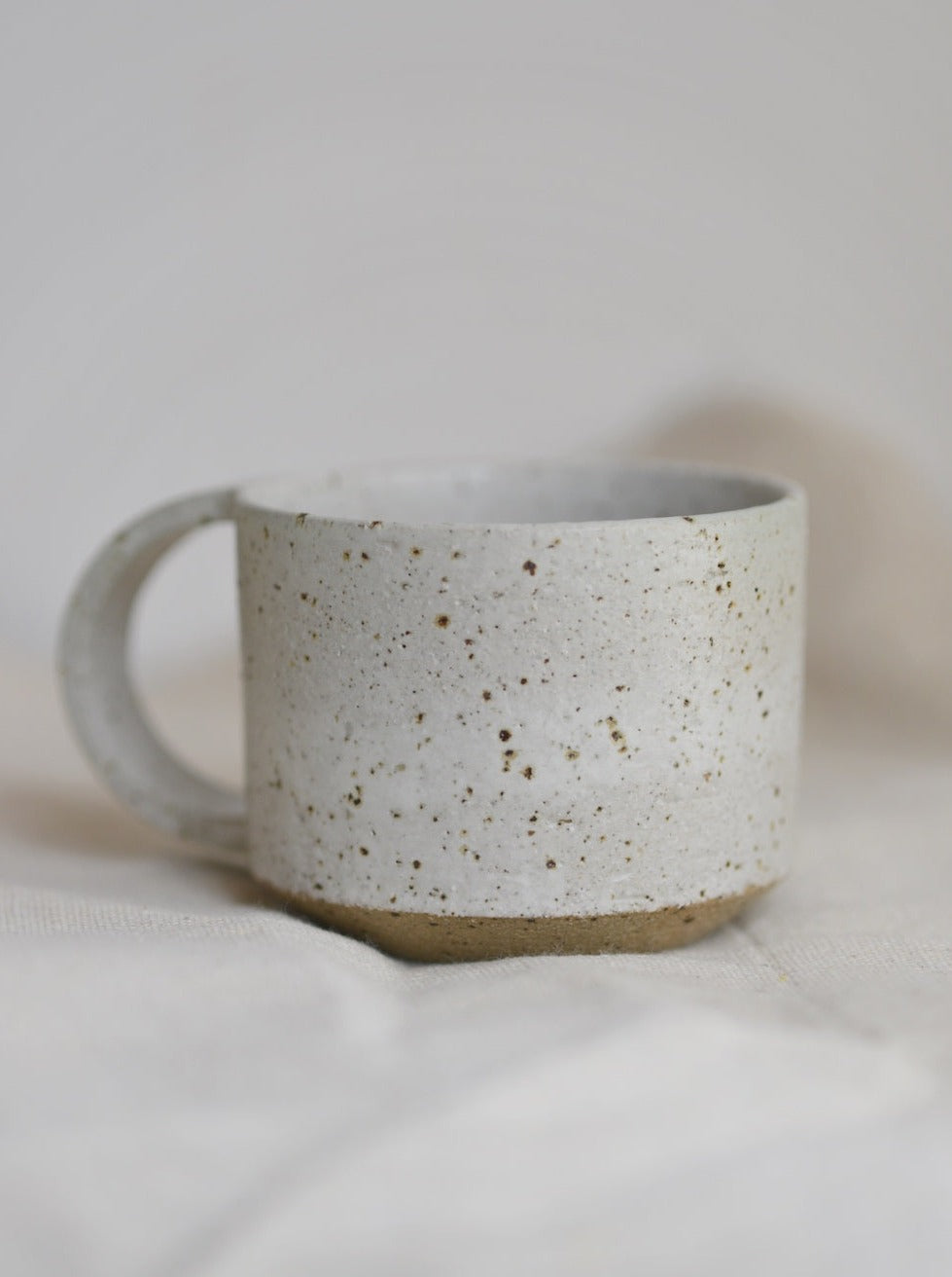 Speckled Angle Mug