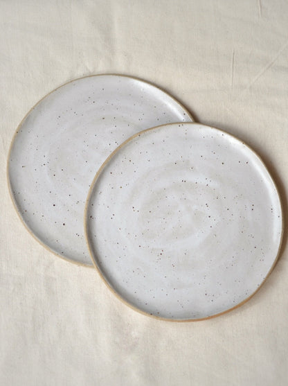 Speckled Irregular Plate