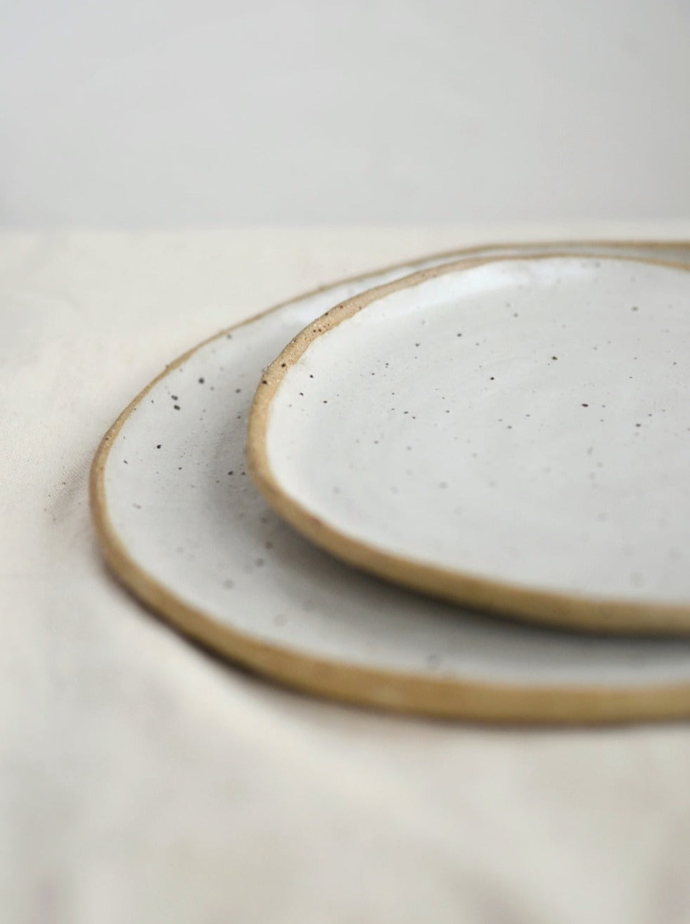 Speckled Irregular Plate